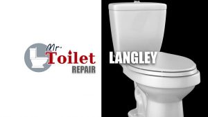 Mr-Toilet-LANGLEY