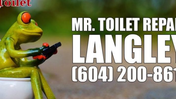 Toilet Repair Langley (604)-200-8617 | Mr. Toilet